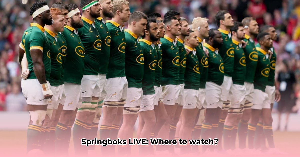 springbok-game-today